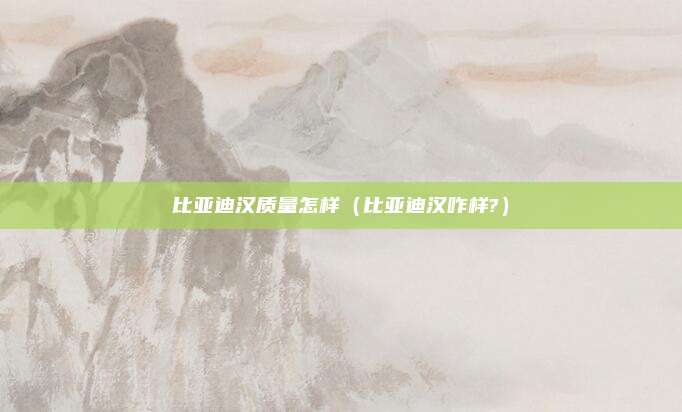 比亚迪汉质量怎样（比亚迪汉咋样?）