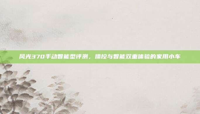 风光370手动智能型评测,操控与智能双重体验的家用小车