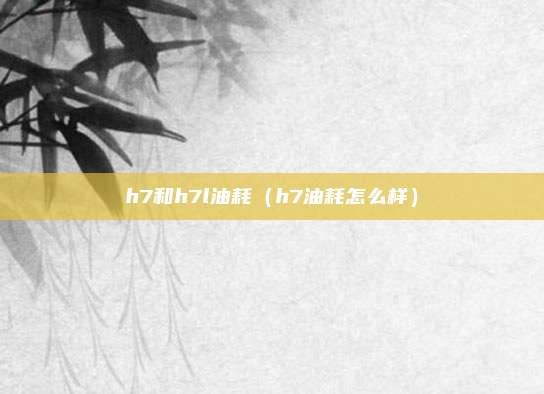 h7和h7l油耗（h7油耗怎么样）