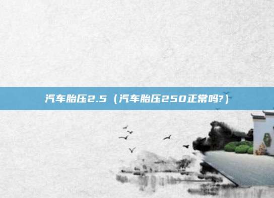 汽车胎压2.5（汽车胎压250正常吗?）
