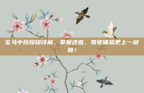 宝马中控按钮详解,掌握这些,驾驶体验更上一层楼!