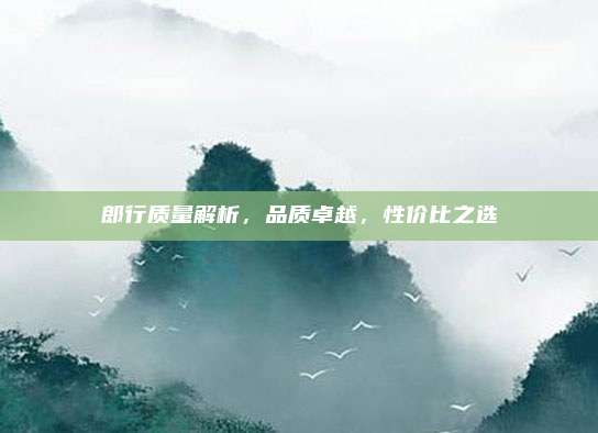 郎行质量解析,品质卓越,性价比之选