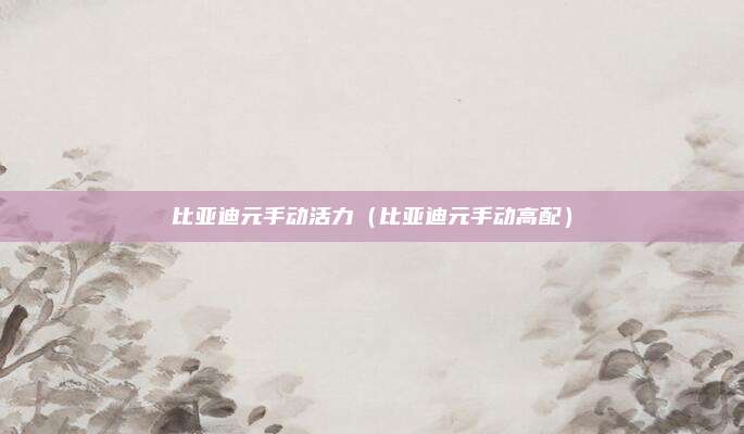 比亚迪元手动活力(比亚迪元手动高配)