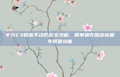 中兴C3钥匙手动匹配全攻略,简单操作助您恢复车钥匙功能