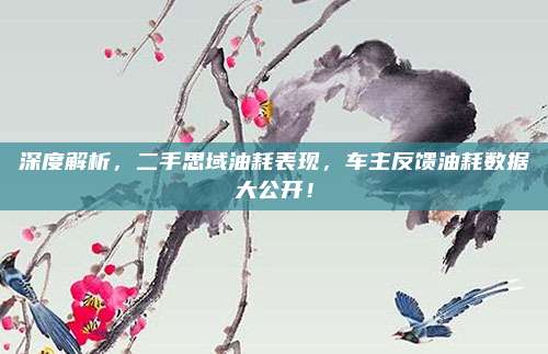 深度解析,二手思域油耗表现,车主反馈油耗数据大公开!