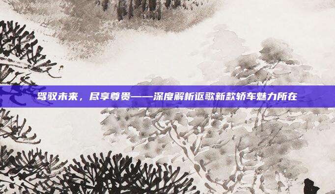 驾驭未来,尽享尊贵——深度解析讴歌新款轿车魅力所在