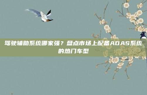 驾驶辅助系统哪家强?盘点市场上配备ADAS系统的热门车型