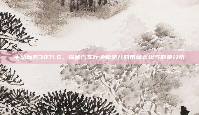 手动标志3071.6,揭秘汽车行业新宠儿的市场表现与前景分析