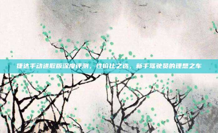 捷达手动进取版深度评测,性价比之选,新手驾驶员的理想之车