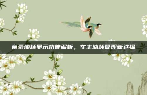 帝豪油耗显示功能解析,车主油耗管理新选择