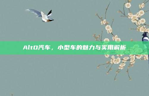 AltO汽车,小型车的魅力与实用解析