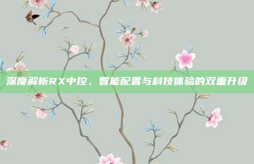 深度解析RX中控,智能配置与科技体验的双重升级