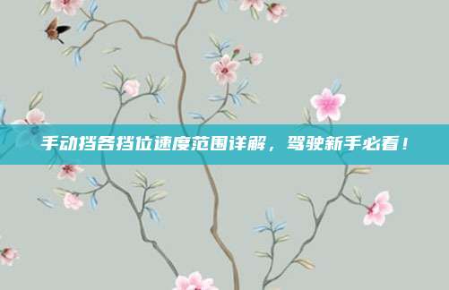 手动挡各挡位速度范围详解,驾驶新手必看!