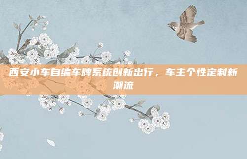 西安小车自编车牌系统创新出行,车主个性定制新潮流