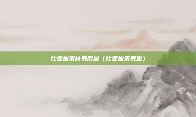 比亚迪宋核载质量(比亚迪宋载重)