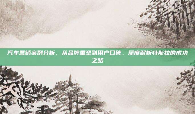 汽车营销案例分析,从品牌重塑到用户口碑,深度解析特斯拉的成功之路
