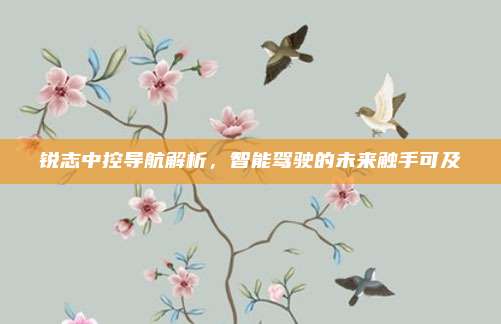 锐志中控导航解析,智能驾驶的未来触手可及