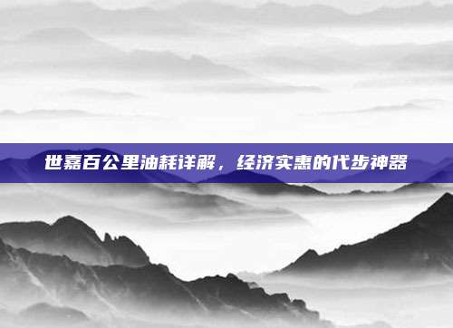 世嘉百公里油耗详解，经济实惠的代步神器