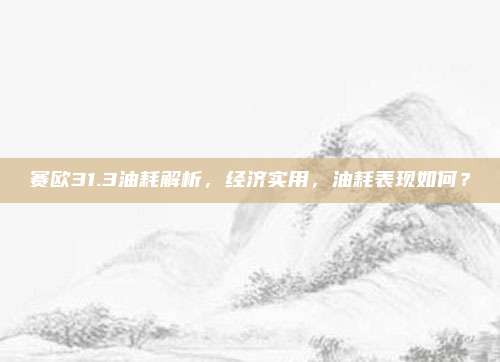 赛欧31.3油耗解析，经济实用，油耗表现如何？