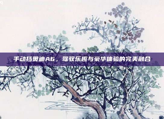 手动挡奥迪A6，驾驭乐趣与豪华体验的完美融合