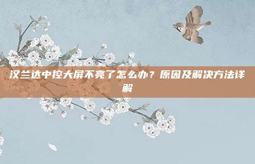 汉兰达中控大屏不亮了怎么办?原因及解决方法详解