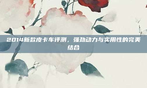2014新款皮卡车评测,强劲动力与实用性的完美结合