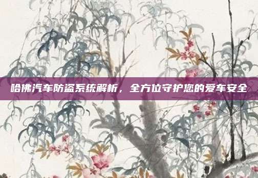哈佛汽车防盗系统解析,全方位守护您的爱车安全