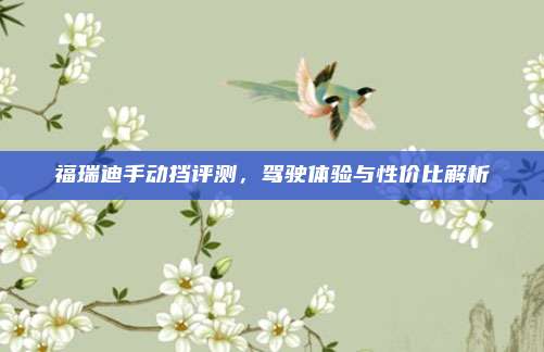 福瑞迪手动挡评测,驾驶体验与性价比解析