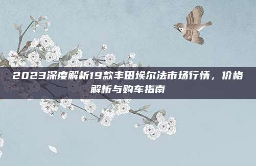2023深度解析19款丰田埃尔法市场行情,价格解析与购车指南