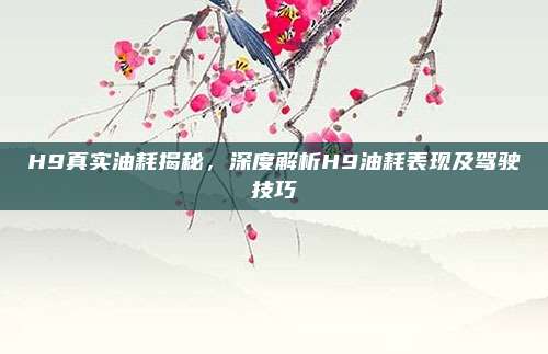 H9真实油耗揭秘,深度解析H9油耗表现及驾驶技巧