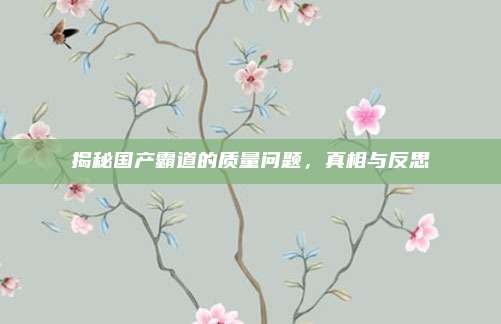 揭秘国产霸道的质量问题,真相与反思