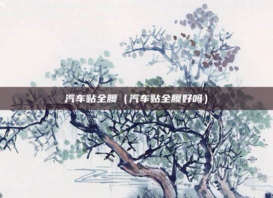 汽车贴全膜(汽车贴全膜好吗)