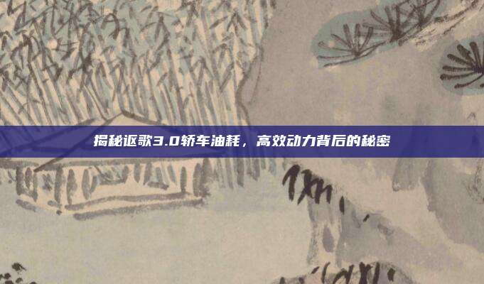 揭秘讴歌3.0轿车油耗,高效动力背后的秘密