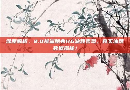 深度解析,2.0排量哈弗H6油耗表现,真实油耗数据揭秘!