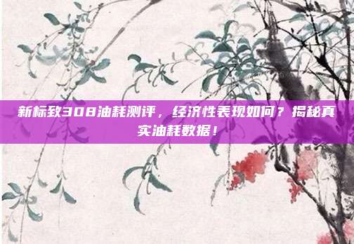 新标致308油耗测评,经济性表现如何?揭秘真实油耗数据!