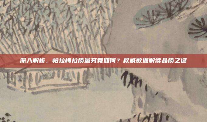 深入解析,帕拉梅拉质量究竟如何?权威数据解读品质之谜