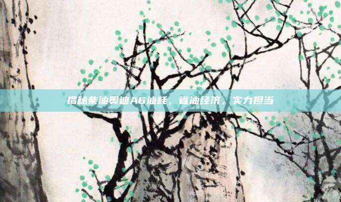 揭秘柴油奥迪A6油耗,省油经济,实力担当