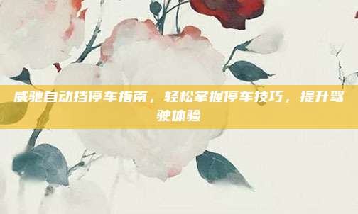 威驰自动挡停车指南,轻松掌握停车技巧,提升驾驶体验