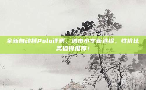 全新自动挡Polo评测,城市小车新选择,性价比高值得推荐!