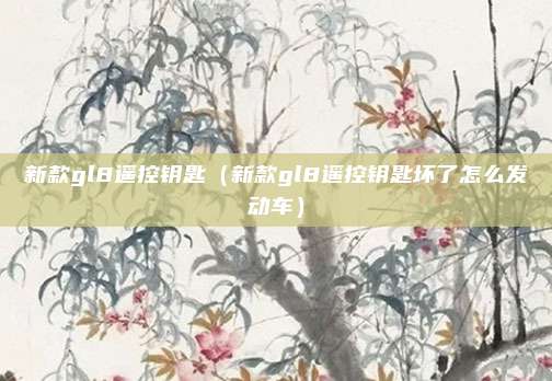 新款gl8遥控钥匙（新款gl8遥控钥匙坏了怎么发动车）