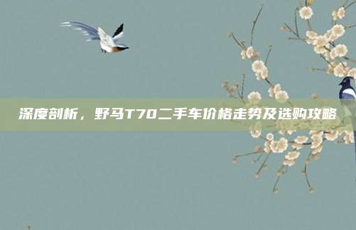 深度剖析,野马T70二手车价格走势及选购攻略