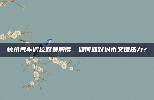 杭州汽车调控政策解读,如何应对城市交通压力?