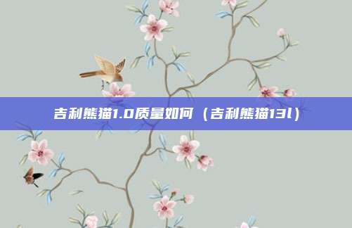 吉利熊猫1.0质量如何（吉利熊猫13l）