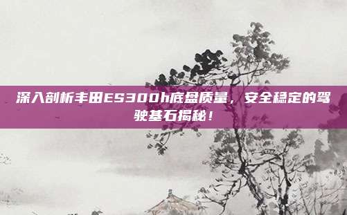 深入剖析丰田ES300h底盘质量,安全稳定的驾驶基石揭秘!