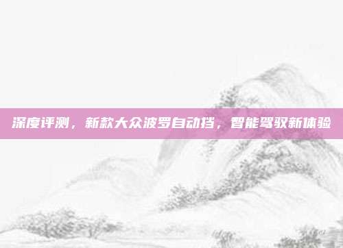 深度评测,新款大众波罗自动挡,智能驾驭新体验