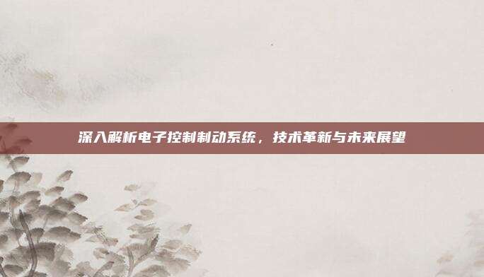 深入解析电子控制制动系统,技术革新与未来展望