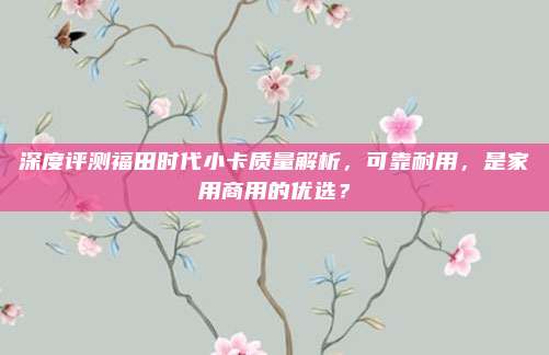 深度评测福田时代小卡质量解析,可靠耐用,是家用商用的优选?