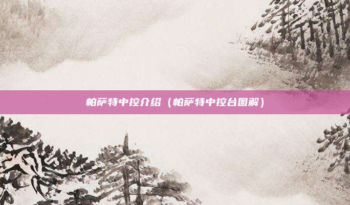 帕萨特中控介绍（帕萨特中控台图解）