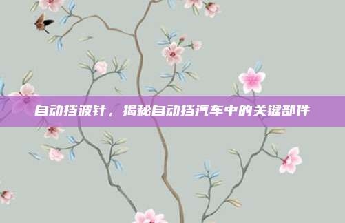 自动挡波针,揭秘自动挡汽车中的关键部件