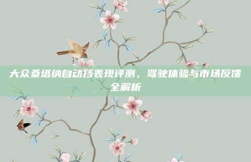 大众桑塔纳自动挡表现评测,驾驶体验与市场反馈全解析